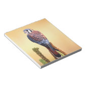 Eichhörnchen, Falco sparverius, Ureinwohner der US Notizblock (angewinkelt)