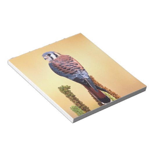 Eichhörnchen, Falco sparverius, Ureinwohner der US Notizblock (angewinkelt)