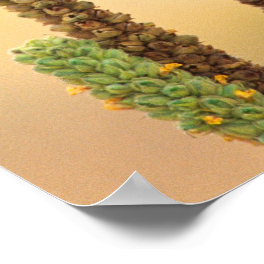 Eichhörnchen, Falco sparverius, Ureinwohner der US Poster (Ecke)