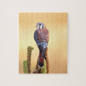 Eichhörnchen, Falco sparverius, Ureinwohner der US Puzzle (Vertikal)