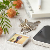 Eichhörnchen, Falco sparverius, Ureinwohner der US Schlüsselanhänger (Seite)