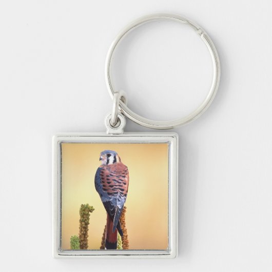 Eichhörnchen, Falco sparverius, Ureinwohner der US Schlüsselanhänger (Vorne)