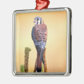 Eichhörnchen, Falco sparverius, Ureinwohner der US Silbernes Ornament (Links)