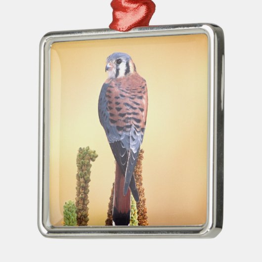 Eichhörnchen, Falco sparverius, Ureinwohner der US Silbernes Ornament (Links)