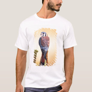 Eichhörnchen, Falco sparverius, Ureinwohner der US T-Shirt