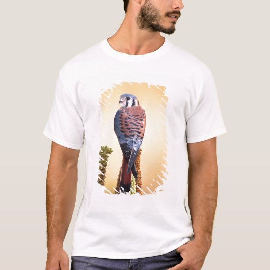 Eichhörnchen, Falco sparverius, Ureinwohner der US T-Shirt (Vorderseite)