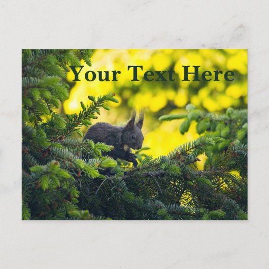 Eichhörnchen Feiertagspostkarte (Vorderseite)