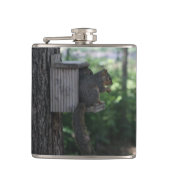 Eichhörnchen Flachmann (Vorderseite)