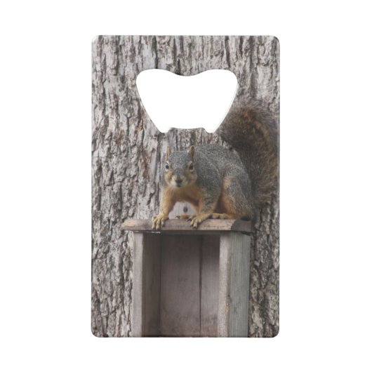 Eichhörnchen Flaschenöffner (Rückseite)