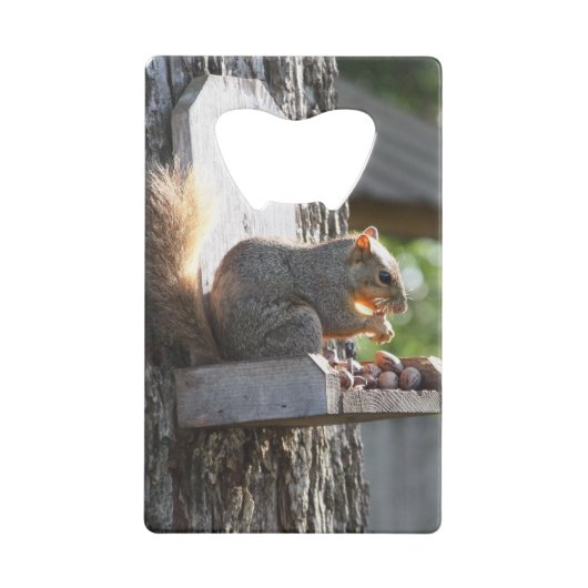 Eichhörnchen Flaschenöffner (Rückseite)