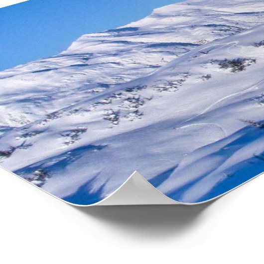 Eichhörnchen Flats Pano Poster (Ecke)