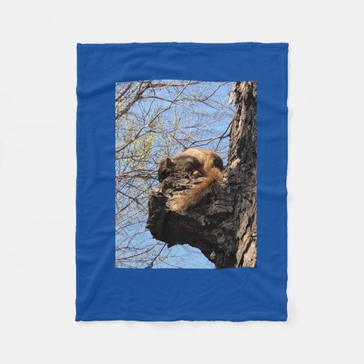 Eichhörnchen Fleece Blanket (Vorderseite)