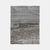 Eichhörnchen Fleece Blanket (Vorderseite)