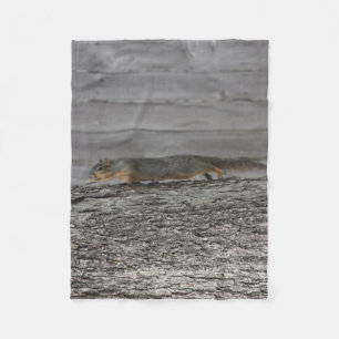 Eichhörnchen Fleece Blanket