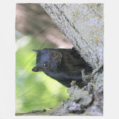 Eichhörnchen Fleecedecke (Vorderseite)