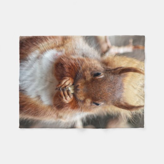 Eichhörnchen Fleecedecke (Vorderseite (Horizontal))