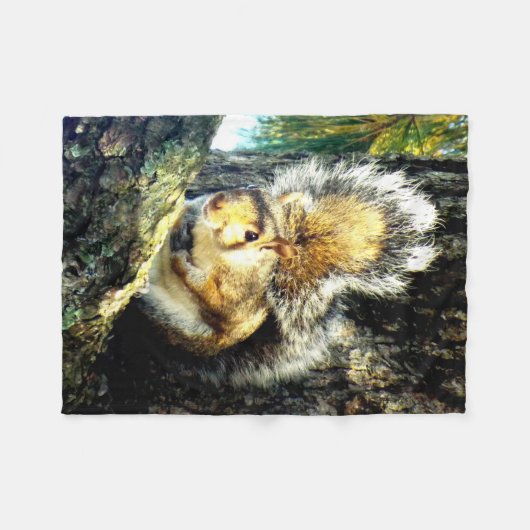 Eichhörnchen-Fleecedecke Fleecedecke (Vorderseite (Horizontal))