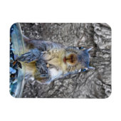 Eichhörnchen-Flexmagnet 3 x 4 Magnet (Horizontal)