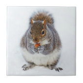 Eichhörnchen Fliese (Vorderseite)