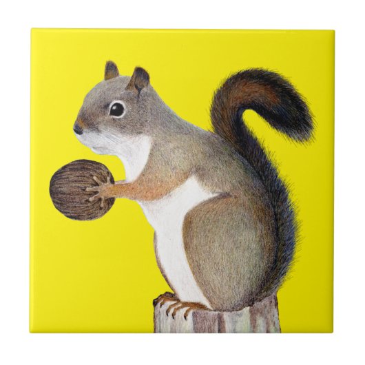Eichhörnchen Fliese (Vorderseite)