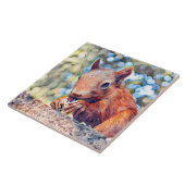 Eichhörnchen Fliese (Seite)