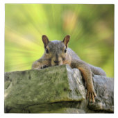 Eichhörnchen Fliese (Vorderseite)