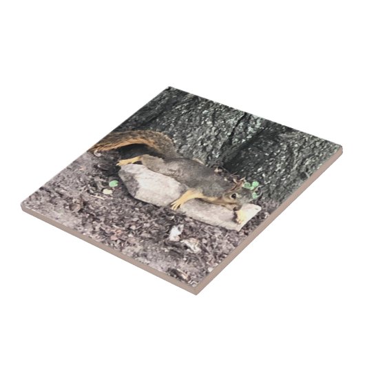 Eichhörnchen Fliese (Seite)