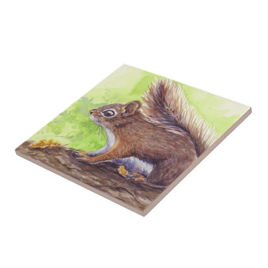 Eichhörnchen Fliese (Seite)