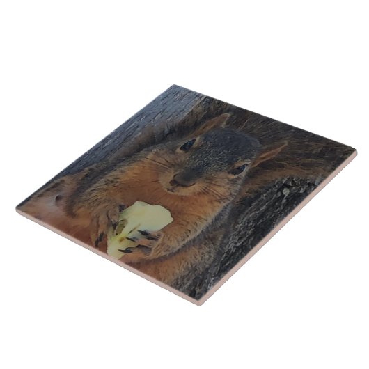 Eichhörnchen Fliese (Seite)