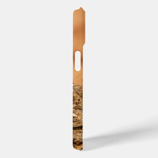 Eichhörnchen-Foto Case-Mate iPhone Hülle (Rückseite / Rechts)