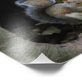 Eichhörnchen-Foto Fotodruck (Ecke)