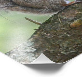 Eichhörnchen-Foto Fotodruck (Ecke)