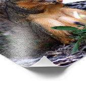 Eichhörnchen-Foto Fotodruck (Ecke)