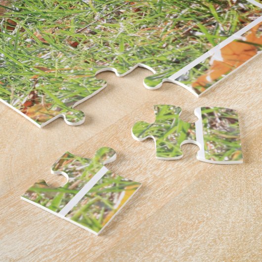 Eichhörnchen-Foto funktioniert für Nudeln Puzzle (Seite)