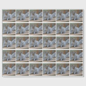 Eichhörnchen-Foto Geschenkpapier (Flach)