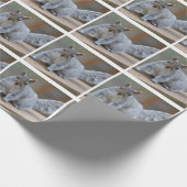Eichhörnchen-Foto Geschenkpapier (Ecke)