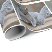 Eichhörnchen-Foto Geschenkpapier (Rolleneckpunkt)