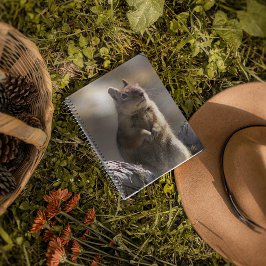 Eichhörnchen-Foto Notizbuch