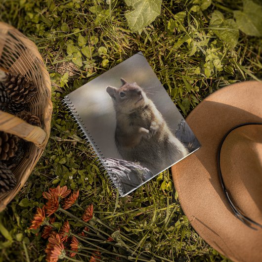 Eichhörnchen-Foto Notizbuch