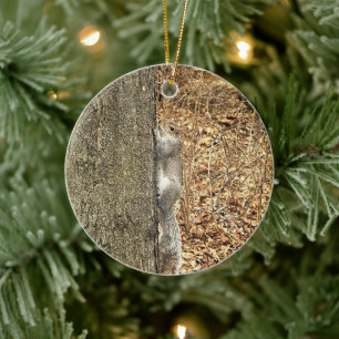 Eichhörnchen-Foto-Ornament  Keramik Ornament