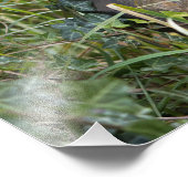 Eichhörnchen Fotodruck (Ecke)