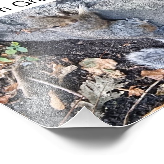 Eichhörnchen Fotodruck (Ecke)