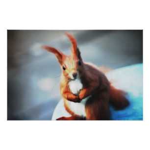 Eichhörnchen Fotodruck