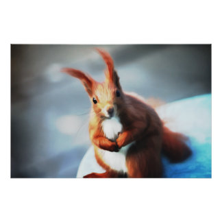 Eichhörnchen Fotodruck