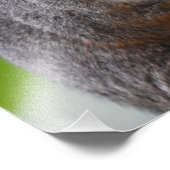 Eichhörnchen Fotodruck (Ecke)