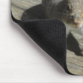Eichhörnchen-Fotografie Mousepad (Ecke)