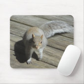 Eichhörnchen-Fotografie Mousepad (Mit Mouse)