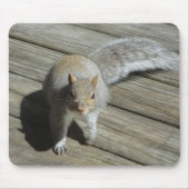 Eichhörnchen-Fotografie Mousepad (Vorne)