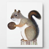 Eichhörnchen Fotoplatte (Vorderseite)
