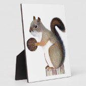 Eichhörnchen Fotoplatte (Seite)